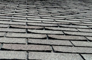 Curling Roof Shingles